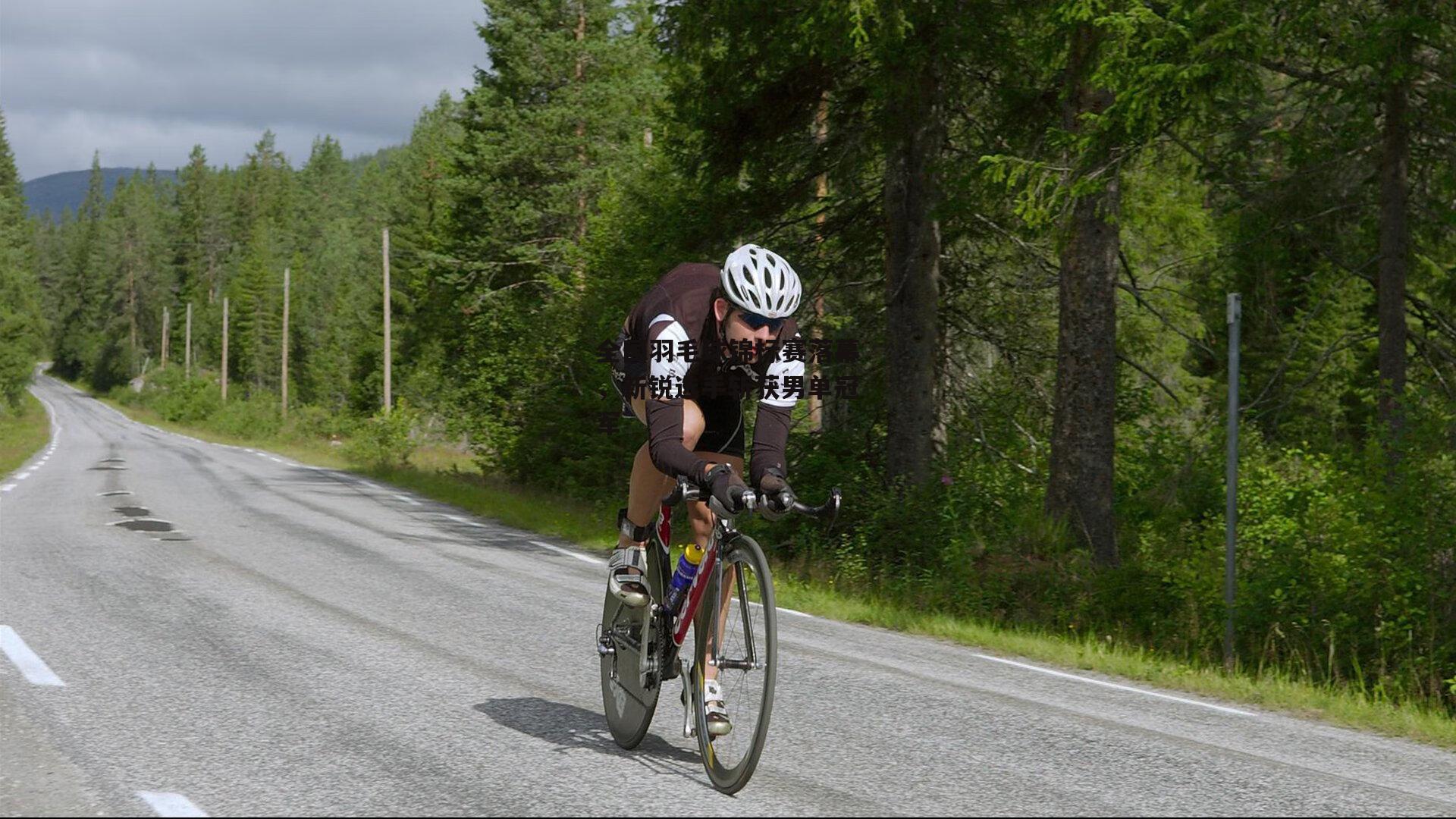 全国羽毛球锦标赛落幕,新锐选手斩获男单冠军