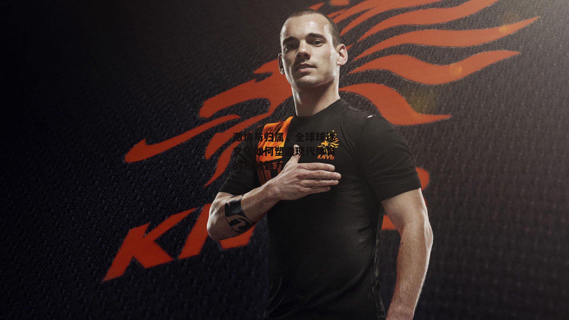 激情与归属,全球球迷文化如何塑造现代体育的独特魅力