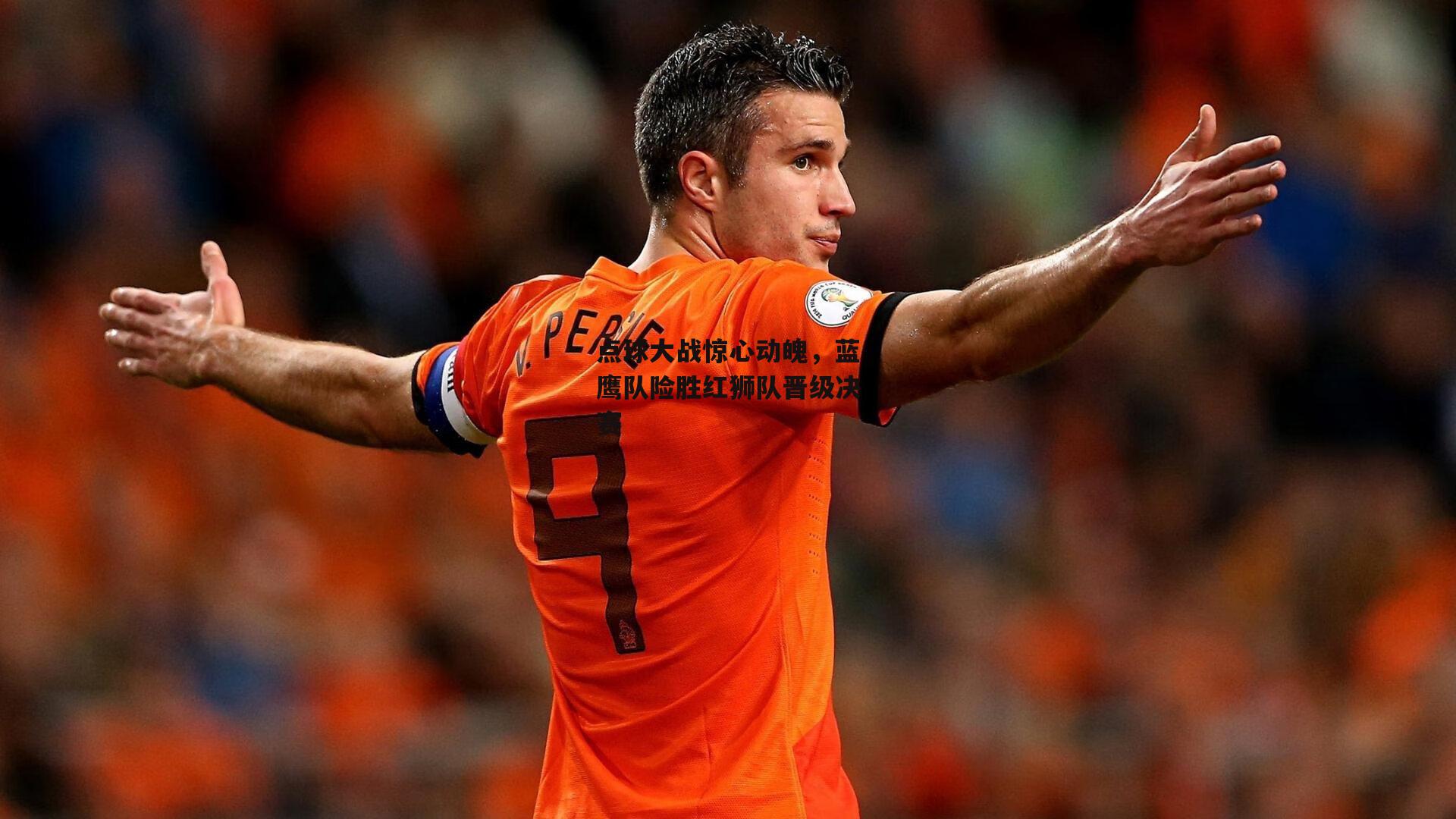 点球大战惊心动魄,蓝鹰队险胜红狮队晋级决赛