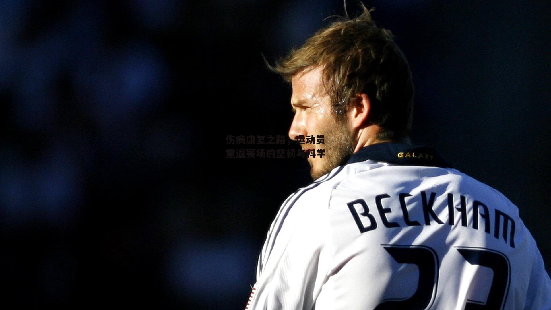 伤病康复之路,运动员重返赛场的坚韧与科学